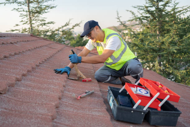 Roof Gutter Cleaning in Porterville, CA